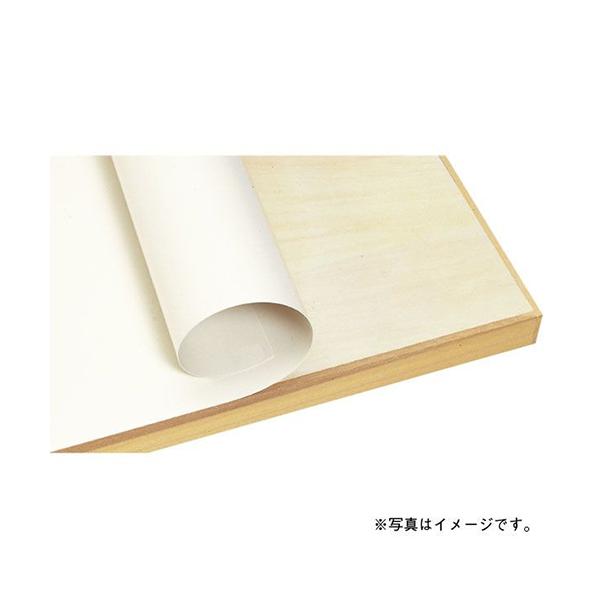 ウチダ　製図用ビニアルシート B1判　750X1050X0.4mm