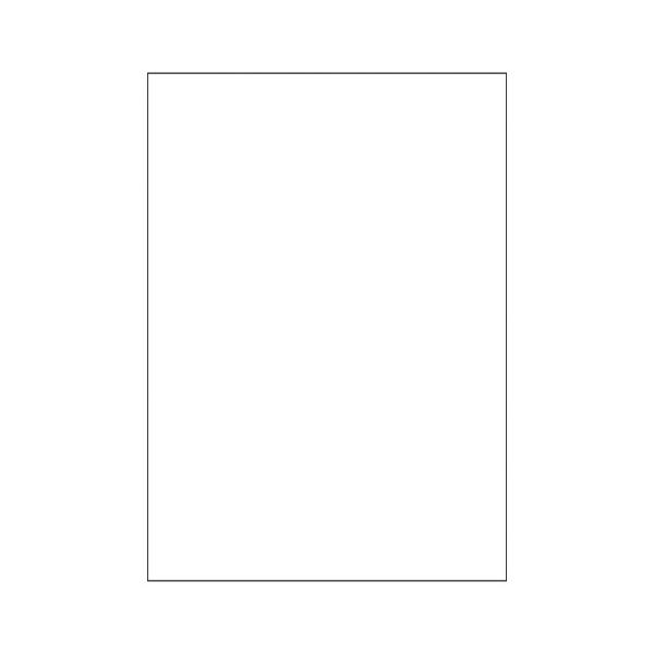 ●品番:FSCF2000●入数:１００枚●レーザープリンタやコピー機でオリジナル複写帳票を作成。●ノーカーボンの帳票用紙。