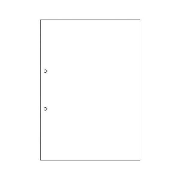 ●品番:FSCF2001●入数:１００枚●レーザープリンタやコピー機でオリジナル複写帳票を作成。●ノーカーボンの帳票用紙。