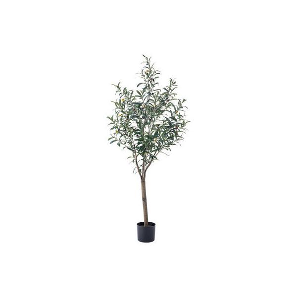 ●品番:GRN-17●入数:１個●フェイクグリーンの商品です。●生花ではありませんので、水やりやお手入れの手間がなく枯れる心配もありません。●日光が当たらないお部屋でも飾ることができ、緑のある空間を演出することができます。