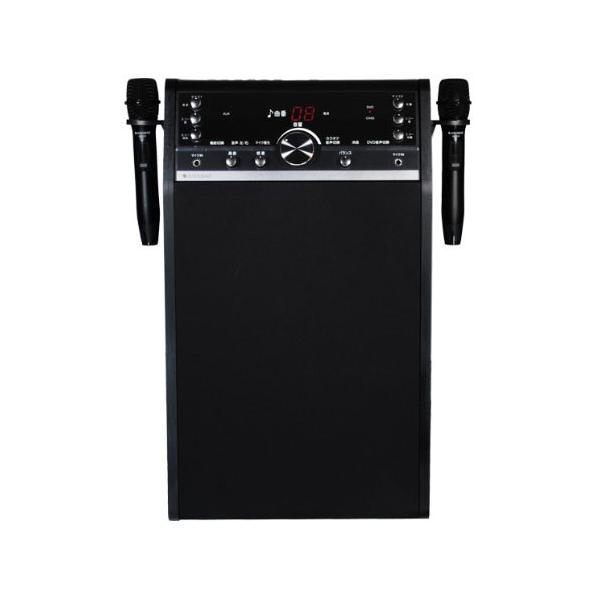 ●品番:DVD-K110●入数:１台●ワイヤレスマイク、ＨＤＭＩ接続など、高性能ＤＶＤカラオケシステム