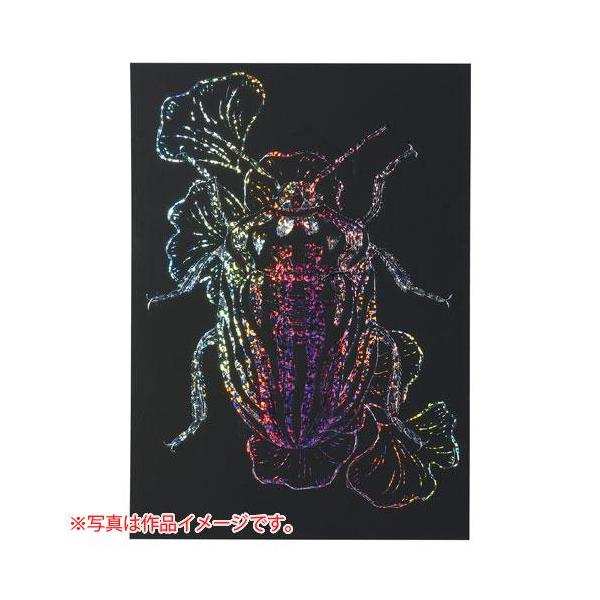 ●品番:012645●入数:１枚●削ると光の反射によって７色に変化するホログラムベースのスクラッチボード