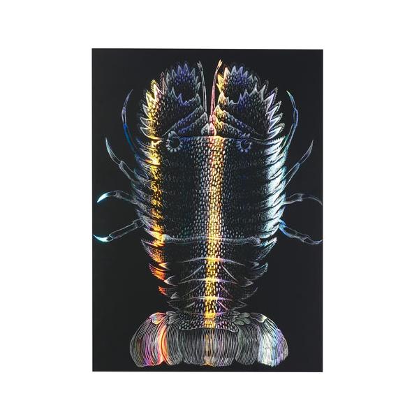 ●品番:012653●入数:１枚●削ると線状に７色に変化するホログラムベースのスクラッチボード