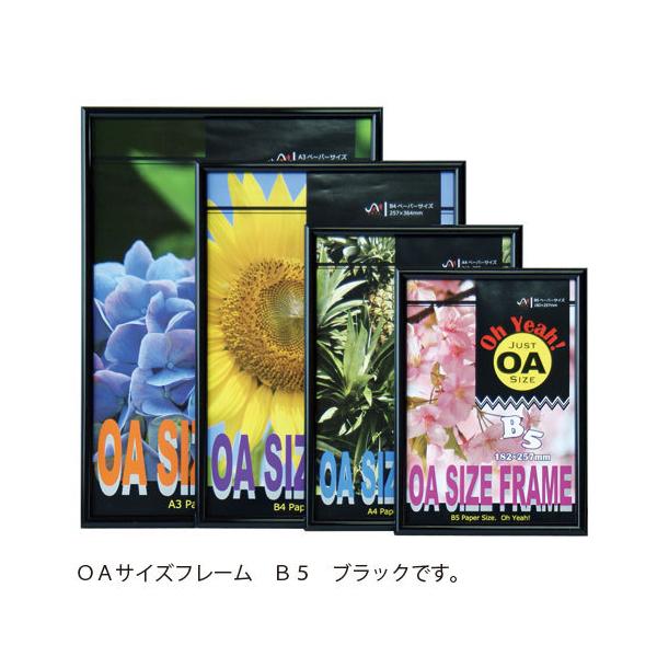 アルテ　ＯＡサイズフレーム　Ｂ５（ブラック）