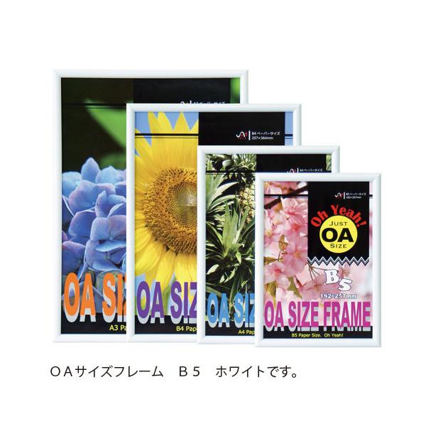 アルテ　ＯＡサイズフレーム　Ｂ５（ホワイト）
