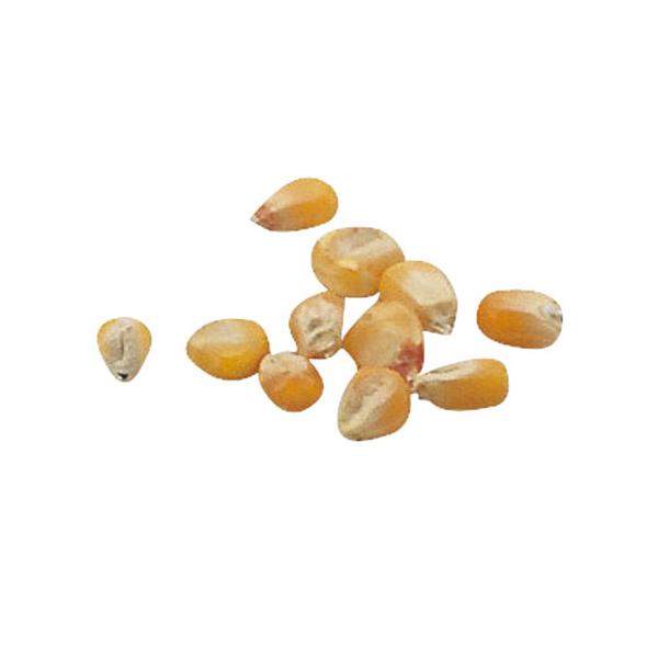 ●品番:002738●入数:１個