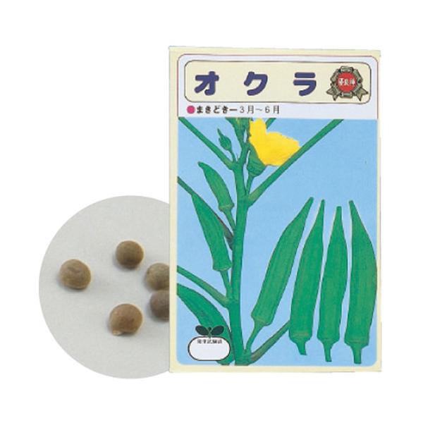 ●品番:002739●入数:１個