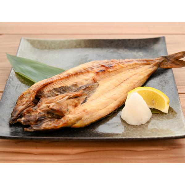 北海道産　開きほっけ　真ホッケ500g前後×5枚入り　海鮮　お取り寄せ　北海道グルメ　焼き魚　干物　グルメギフト　送料無料　冷凍3枚　お歳暮　お中元　贈答用