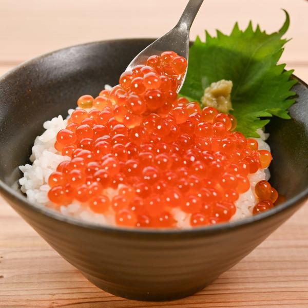 【北海道根室産】いくら醤油漬け　100ｇ×2P　イクラ　北海道産　小分け　冷凍　鮭卵　お取り寄せ　グルメ　海の幸　海鮮　いくら丼　お歳暮　お中元　贈答用