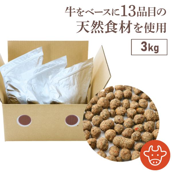 ドッグフード 無添加 国産 牛 ごはん ドットわんごはん お徳用3kg 総合栄養食 ドットわん ドライフード 低温乾燥 シニア犬 全犬種 全年齢 対応