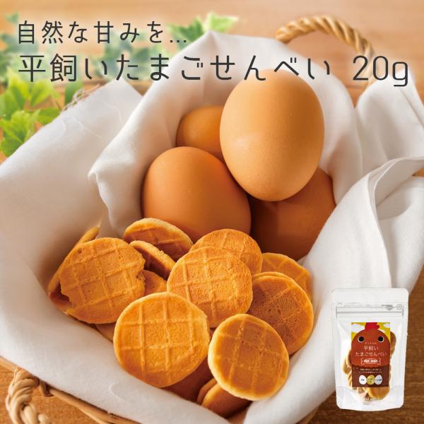 ドッグフード 犬 おやつ 無添加 国産 ドットわん 平飼いたまごせんべい 20g ビスケット 鶏 卵 せんべい トッピング  全犬種 全年齢 対応