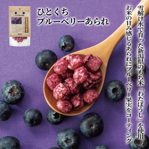 ドッグフード 犬 おやつ 無添加 国産 ドットわんの逸品 ひとくちブルーベリーあられ 18g いぬ おやつ 全犬種 全年齢対応
