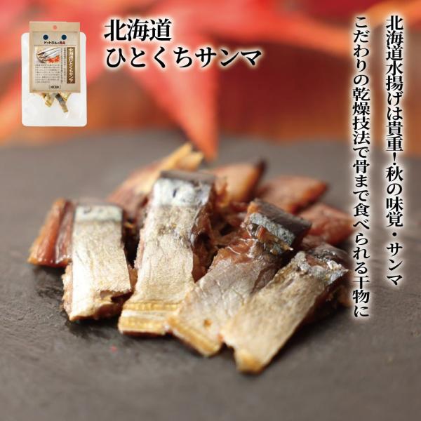 ドッグフード 犬 おやつ 無添加 国産 ドットわんの逸品 北海道ひとくちサンマ 20g いぬ おやつ さんま 全犬種 全年齢対応