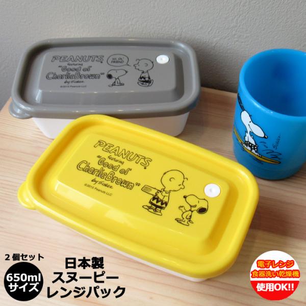Xk[s[ ObY WpbN 650ml ۑe WΉ H@Ή v[g Mtg a l炵 Lb`G _uX[