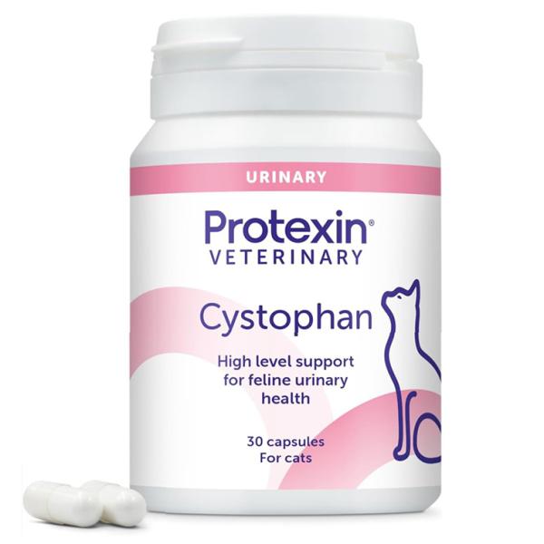 ■特長　●膀胱粘膜の健康維持に役立ちます。●N-アセチル-D-グルコサミン、ヒアルロン酸が膀胱粘膜層の健康維持をサポート。●L-トリプトファンがストレスからの健康維持をサポート。■成分N-アセチル-D-グルコサミン、L-トリプトファン、ヒア...