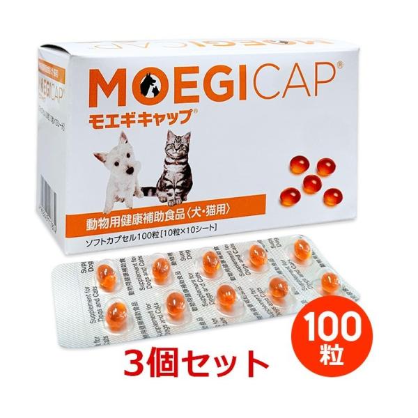 yzyRZbgzyGMLbv  100i10×10V[gj×RzLpyzy֐߁z