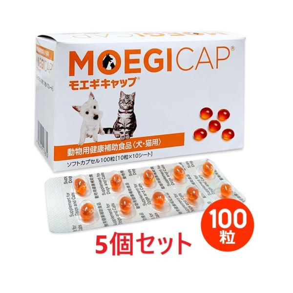 yTZbgzyGMLbv  100i10×10V[gj×TzLpyzy֐߁z