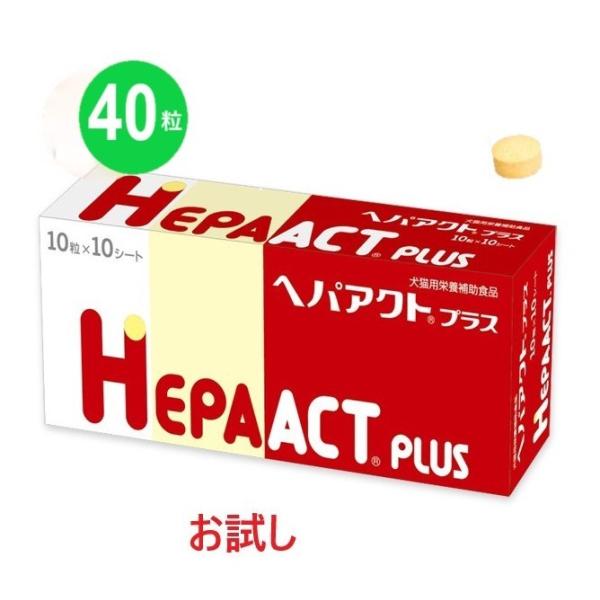 yzyzyԕiszy̔zwwpANgvXxySOzSÔ݂łBӂ@yLpzy{SHƁz