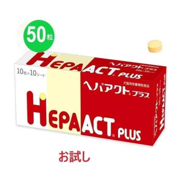 yzyzyԕiszy̔zwwpANgvXxyTOzTÔ݂łBӂ@yLpzy{SHƁz