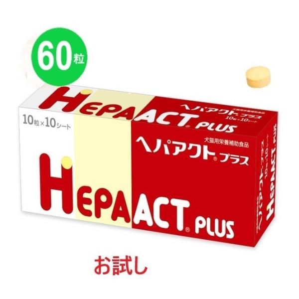 yzyzyԕiszy̔zwwpANgvXxyUOzUÔ݂łBӂ@yLpzy{SHƁz