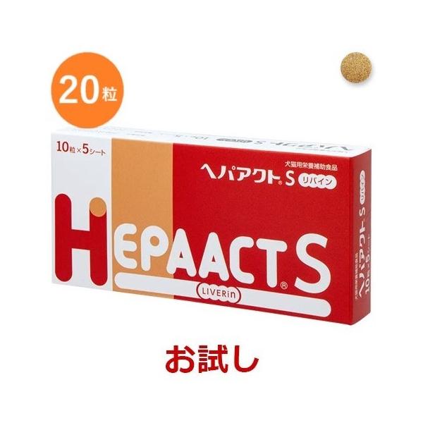 yzyzyԕiszy̔zwwpANgS oCxyQOzQÔ݂łBӂ@yLpzy{SHƁz