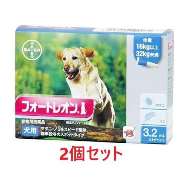 yQZbgzytH[gI p 3.2mLi16`32kgj R{×Qzypiz [m~E}_j쏜](tH[gI3.2mL)(C)