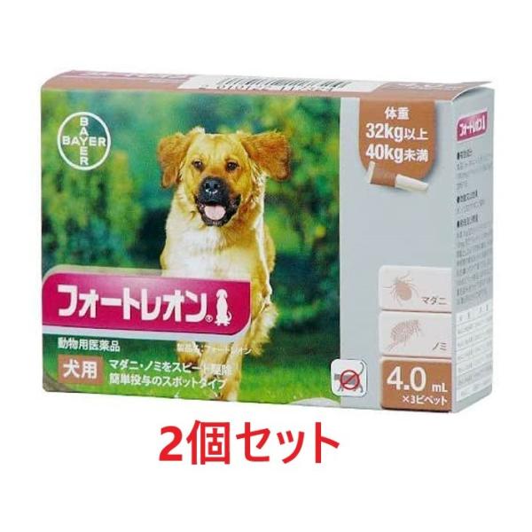 yQZbgzytH[gI p 4.0mLi32`40kgj R{×Qzypiz [m~E}_j쏜](tH[gI4.0mL)