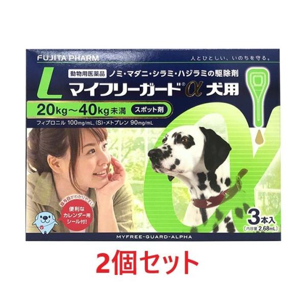 yzyQZbg (6{)zy}Ct[K[h pLi20`40kgj R{ ×Qzyv6{zypiz [m~E}_j쏜]