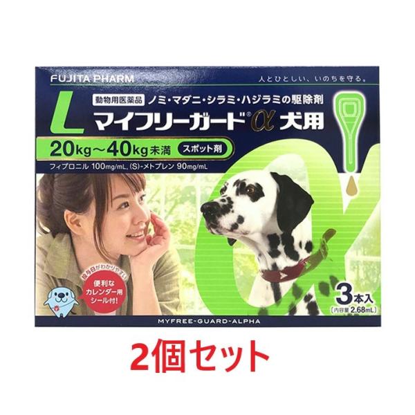 yzyQZbg (6{)zw}Ct[K[h pLi20`40kgj R{ ×Qxyv6{zypiz [m~E}_j쏜]