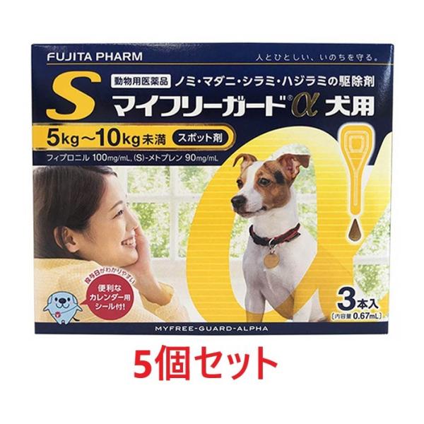 yzyTZbg (15{)zy}Ct[K[h pSi5`10kgj R{ ×Tzyv15{zypiz [m~E}_j쏜]