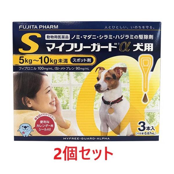 yzyQZbg (6{)zw}Ct[K[h pSi5`10kgj R{ ×Qxyv6{zypiz [m~E}_j쏜]