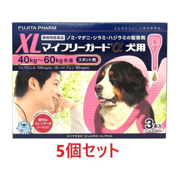 yzyTZbg (15{)zy}Ct[K[h pXLi40`60kgj R{ ×Tzyv15{zypiz [m~E}_j쏜]