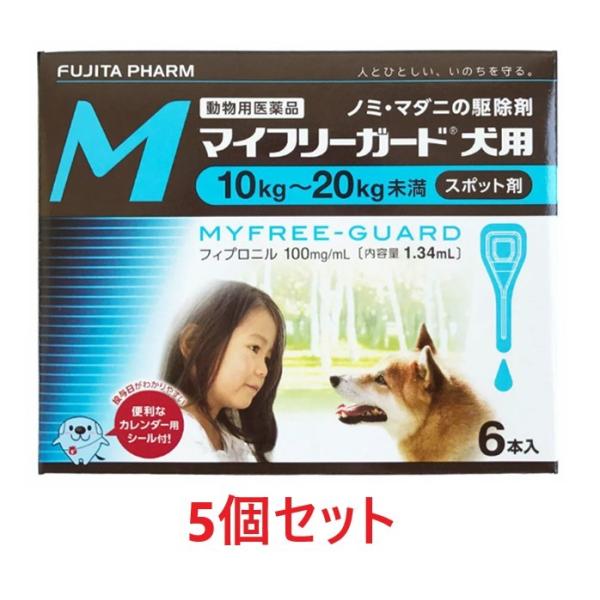 yzyTZbg (30{)zy}Ct[K[h pMi10`20kgj U{ ×Tzyv30{zypiz [m~E}_j쏜]