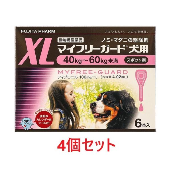 yzySZbg (24{)zy}Ct[K[h pXLi40`60kgj U{ ×Szyv24{zypiz [m~E}_j쏜]