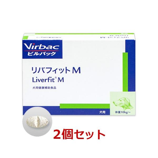 yQZbgzyotBbgM 30×Qzi10kgȏjyrobNWpzy̑z