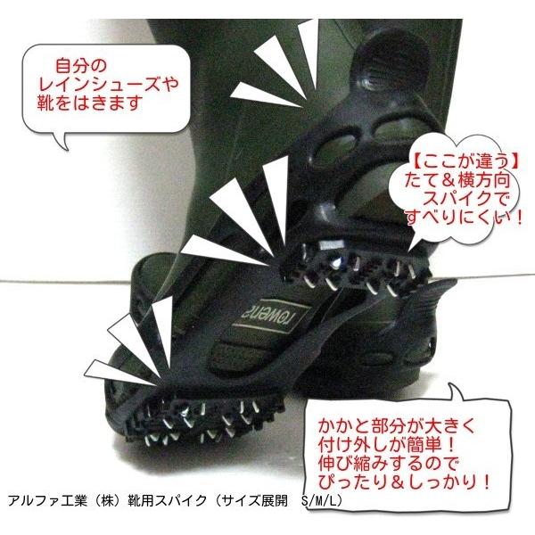 Cpׂ~߃XpCN/rTCYi21.0`23.5cm̌Cpj̐ɁISzȒʋ΁AʊwA󌱐Ɂi[ܕtj󂠂