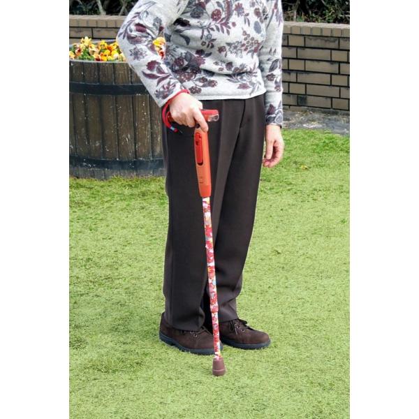 LEDŌXebLIA[A芪[dt@ɐlCiaԕj킯Viłꂠ̂