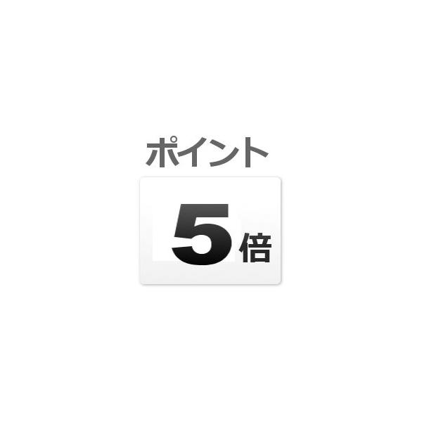 【ポイント5倍】 日本カノマックス (KANOMAX) 普通騒音計 MODEL 4120