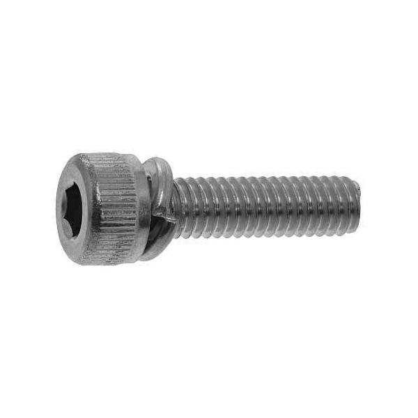 SUNCO ���j�N�� CAP�@P��2 �y6���z ���j�N��10.9CAPP=2 5x18