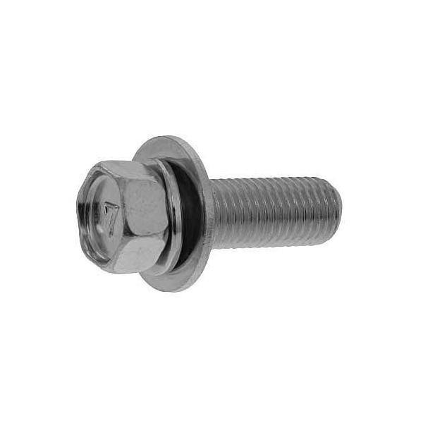 SUNCO �O���z���C�g 7�}�[�N���`�A�v�ז�SP��3 �y1���z 3�J-W7�R�K�^UP�z�\��SP=3 10x30