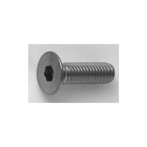 SUNCO XeX(303A304AXM7) BK(SUS) MCAP y1z BKSUSTCAP 8x25