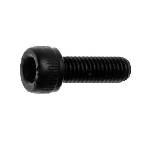 SUNCO CAP(�S�˂�(���{F �y1���z CAP(�[��(�j�z��F 6X100X100