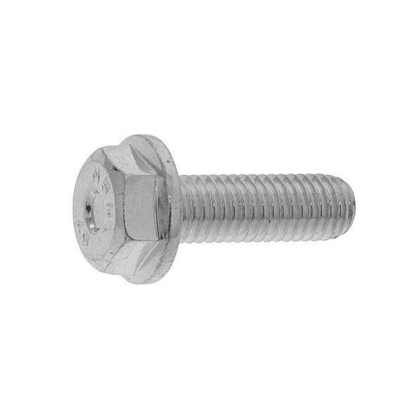 SUNCO XeX(303A304AXM7) tW{g(Y y1z SUStWBT(jbT 8x30