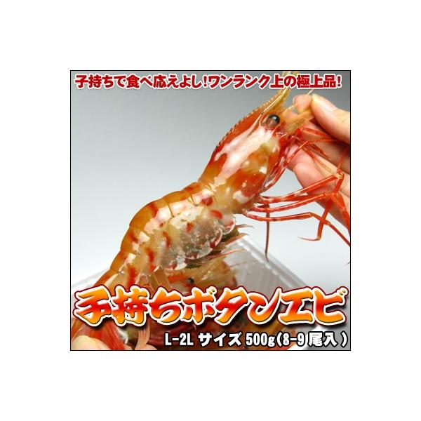 ڂ񂦂 q {^Gr hg 500g  ͑ʓrZ 䒆 Lv čՂ