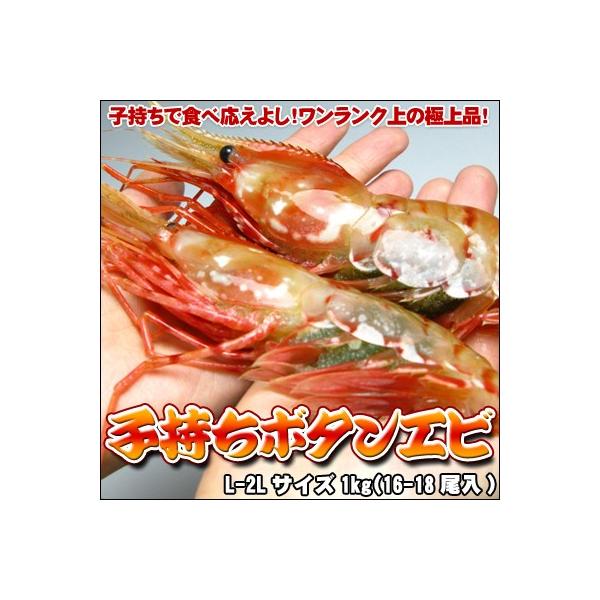 ڂ񂦂 q {^Gr 1kg  ͑ʓrZ 䒆 Lv čՂ