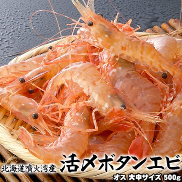 �{�^���G�r �� �Y �I�X �咆�T�C�Y 500g �H �k�C�� ���Θp�Y ������������͑����ʓr���Z ���i�摜