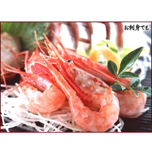 �{�^���G�r �� �Y �I�X �咆�T�C�Y 500g �H �k�C�� ���Θp�Y ������������͑����ʓr���Z ���i�摜5