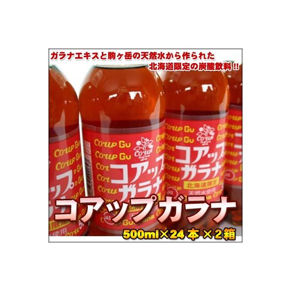 小原 コアップガラナ 500ml 24本の通販
