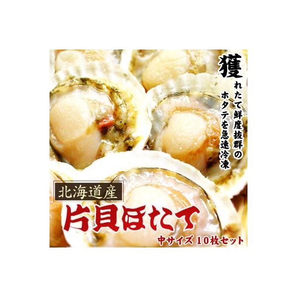 z^eƂΖkC ЊLz^e TCY 10Zbg͑ʓrZ Ε NX}X 