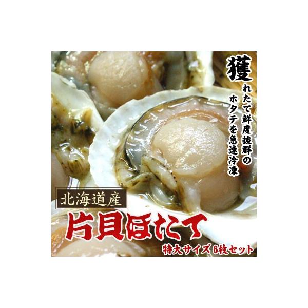 z^eƂΖkC ЊLz^e TCY 6Zbg͑ʓrZ Ε NX}X 